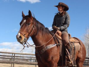 Eine Frau im Westernoutfit reitet ein braunes Pferd mit traditionellem Westernsattel auf einem Reitplatz unter blauem Himmel.